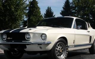 Тест драйв Форд мустанг шелби gt 500